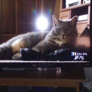 Meet your Posher, Sandra